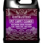 Dirtbusters Pet Carpet Cleaner